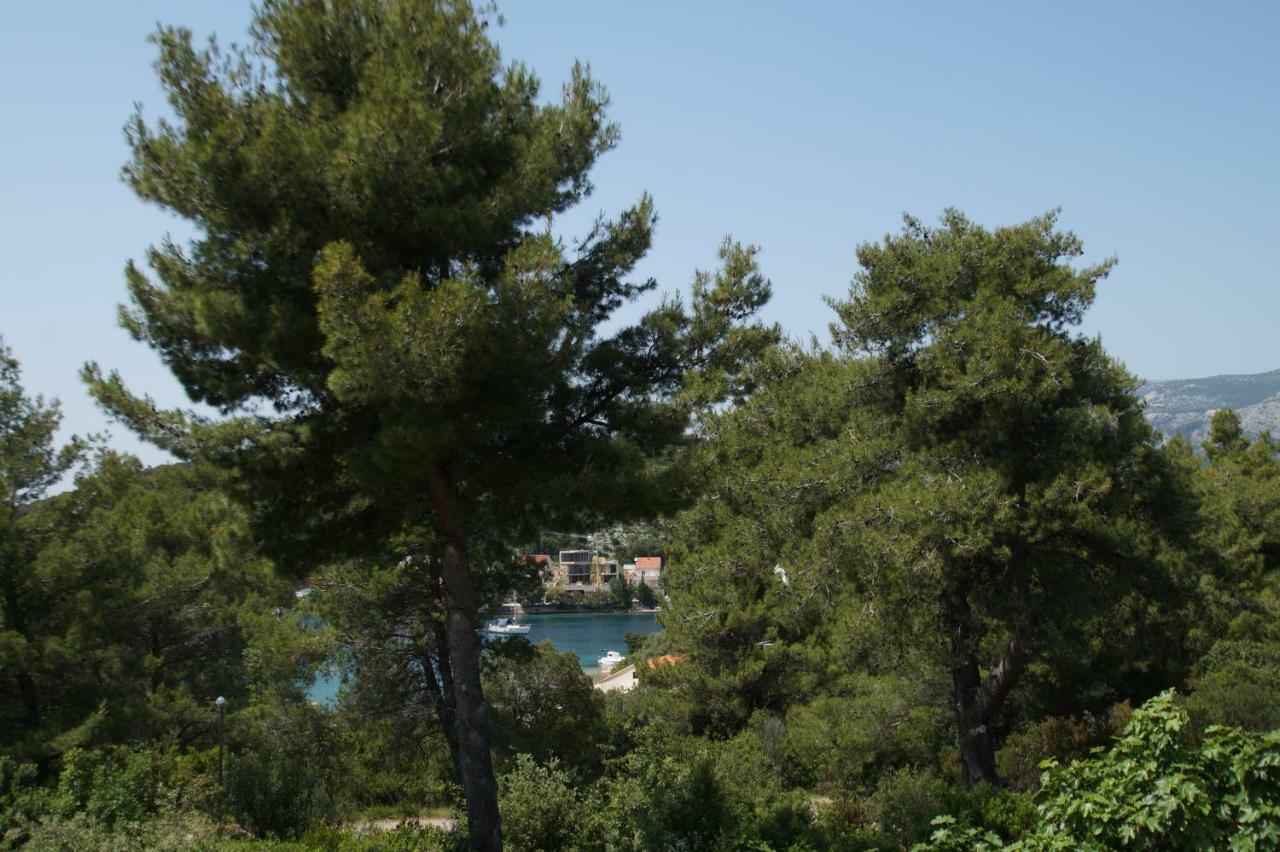 Vita Apartments Zrnovo Dış mekan fotoğraf